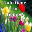 danilo montilla - @danilomontilla - Twitter