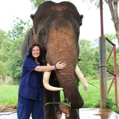 claireewest's profile picture. a bland, censored comment