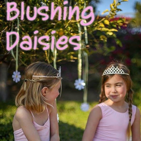 Children's Dancewear, Dress Up, & Hair Accessories
