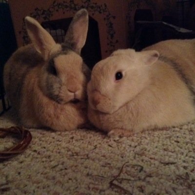 Give me my thyme.