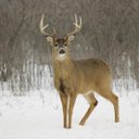 Calvin Brock - @cal_brock - Twitter