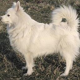 koeby1963's profile picture. WOW