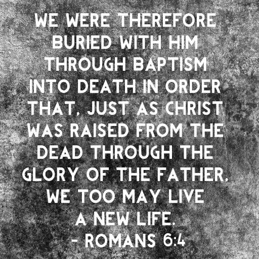 nivekreduls's profile picture. Loving Jesus, on the internet!