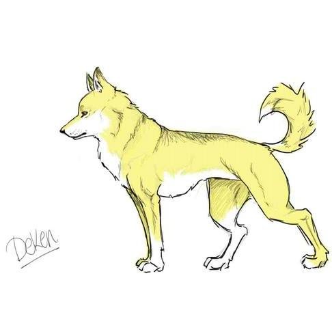 Woof woof. Woof woof woof. ¡Woof! Grrr. [Me llamo Deken o eso dice mi dueña. @UnknownNerata me acogió y me puso nombre. Gruño y ladro... ¡Por molestar!