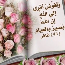 «مزاجك أغلى ما تملك، فاجعله مرتفعا، لتقرأ، لتكتب، لتعمل، لتتفاعل بإيجابية. لهذا لا تعطي أي مخلوق فرصة لتعكيره!»
