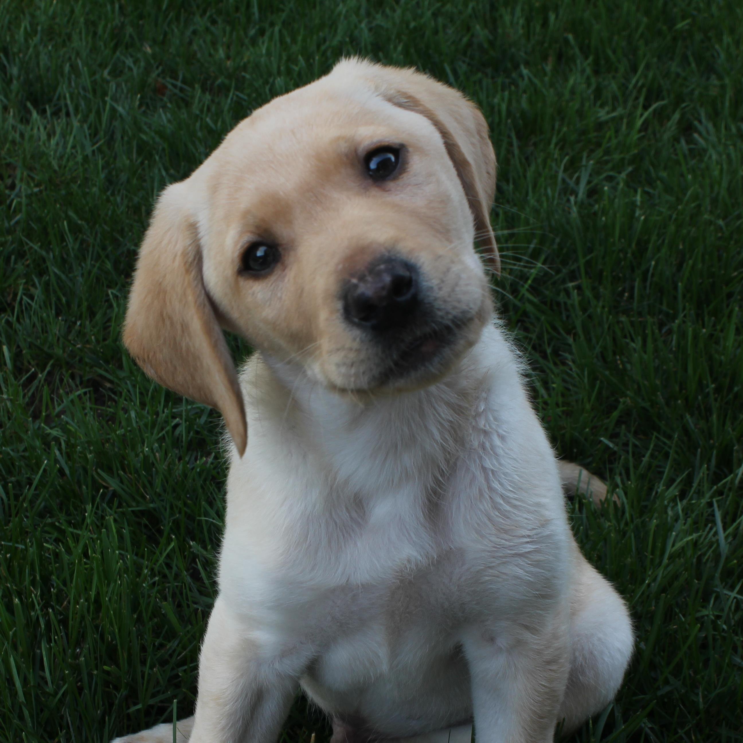 Maddy00215796's profile picture. 