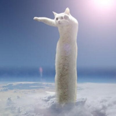 torimatsub's profile image