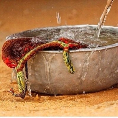 من روس روق ومنبع الطيب عتبان
 حزام من حـــده زمـانـــه وضــده