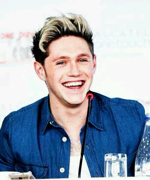 Cinco idiotas cambiaron mi vida [Directioner] →WWAT←      》》》 Dark paradise, del rey.                               Niall girls♡