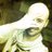 buenroller's profile image