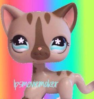 LPStuber I voice actress I Gamer I Fishbooker I Video maker I Much more!
