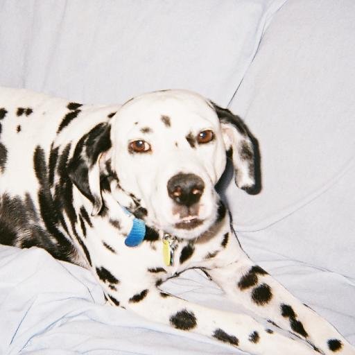 PlumDavid's profile picture. exponential thinker and doer, lover of my wife and challenges