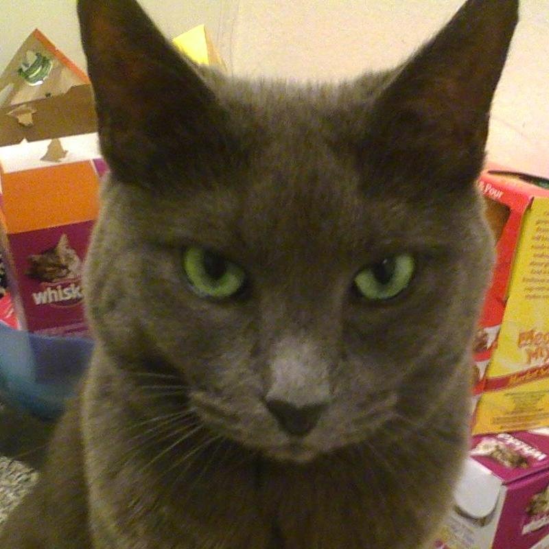 joshallenonline's profile picture. 