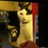 NJMeeks's profile image