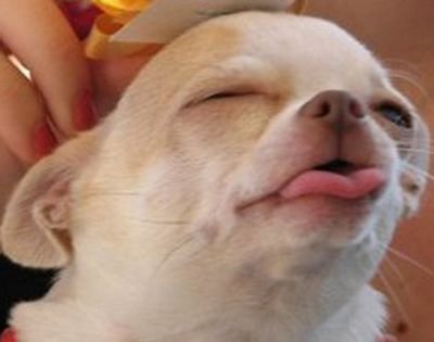 Logan_Powers17's profile picture. 