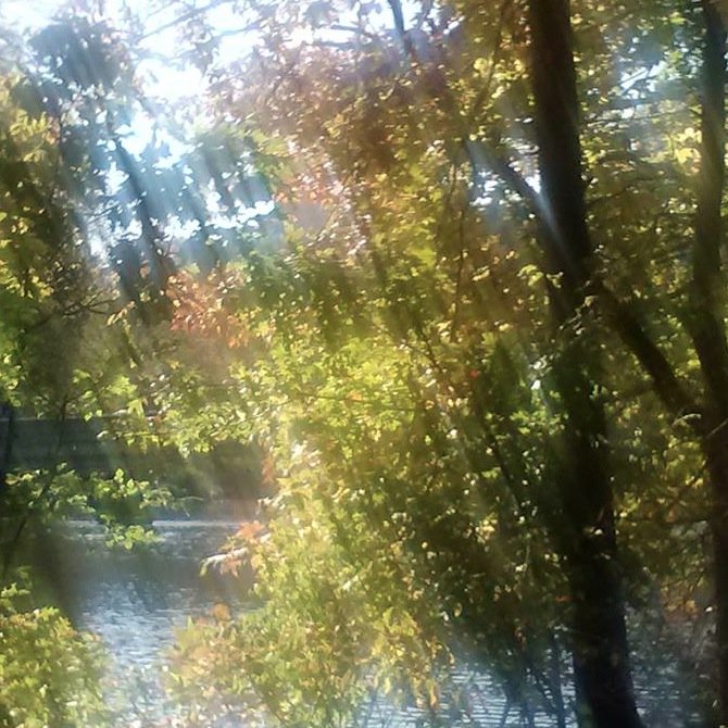 AlfredWillows's profile picture. I hope it doesn't rain, but it looks as though it might.