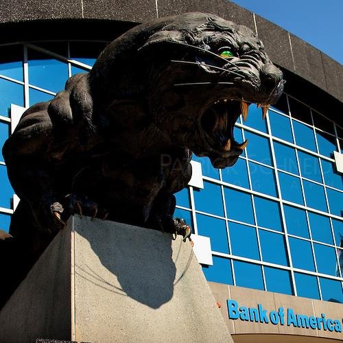 MichaelHachi529's profile picture. 