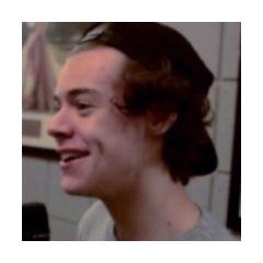 @haimharold