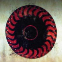 eilegz (@eilegz) 's Twitter Profile Photo