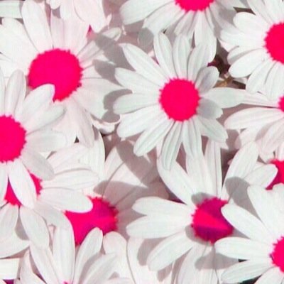 faithovrsociety's profile picture. 15 yr old spreading the Good News of the One who saved me and His name is Jesus. IG: @faithoversociety @life.worthliving Tumblr: mnajar23 F4F on everything