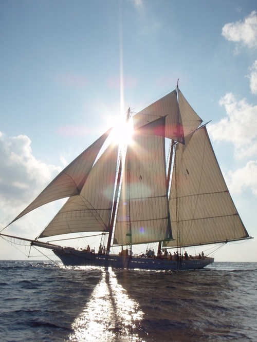 Operated by the South Carolina Maritime Foundation