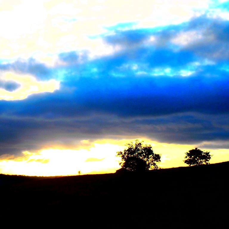 Vivafrases2's profile picture. Sigo de volta.