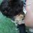 neneru95's profile image