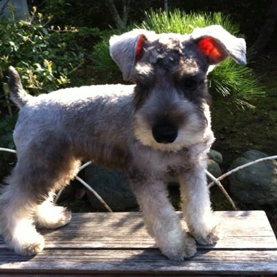 BecciM3's profile picture. 