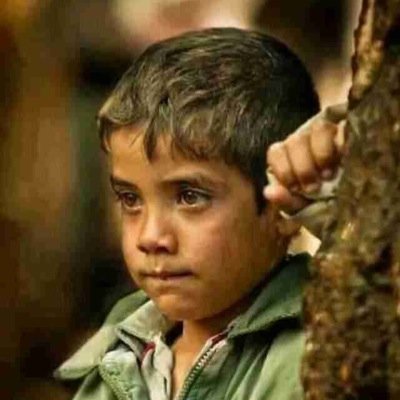 How poor are they who have not patience! What wound did ever heal but by degrees?