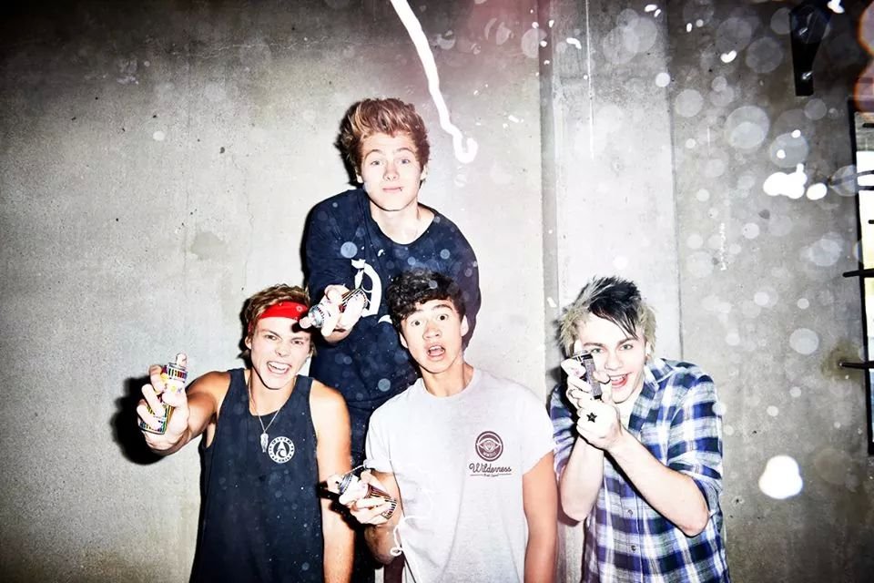 yo soy una chica que le gusta la fiesta pero mas que eso me gusta One Direction(sigue me y te sigo)