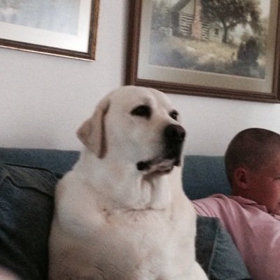 judgesgl's profile picture. 