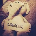 Dalia Ayala - @DaliaAyala99 - Twitter