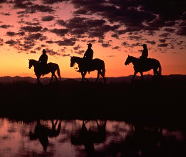 NomtheC's profile picture. 