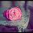 NoraDahmani's profile image