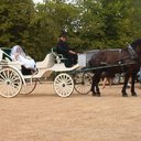 Matt Fahey - @FaheymattMatt - Twitter