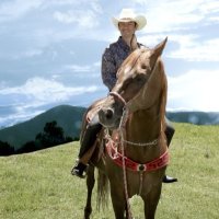 mino luna (@minolunagrupero) 's Twitter Profile