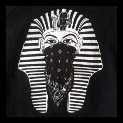 Chicag0_God's profile picture. The heart of a true Lion a true King will never beat the same.