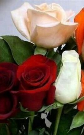 d1an1n's profile picture. واللي تمنيته بعمري حاجتين. .رضاك ياربي وحسن الخاتمه. ..