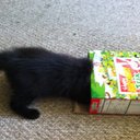 Steve Casper Adams - @stg4btl - Twitter