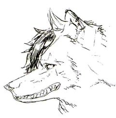 飛瓜ヒサトさんのプロフィール画像