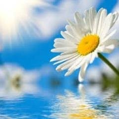 Spiritualdrive's profile picture. This Website create to spread information related to spiritual knowledge that nurtures respect for all faith