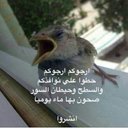 احمد عبده الجبعي (@59aa418f576f495) Twitter