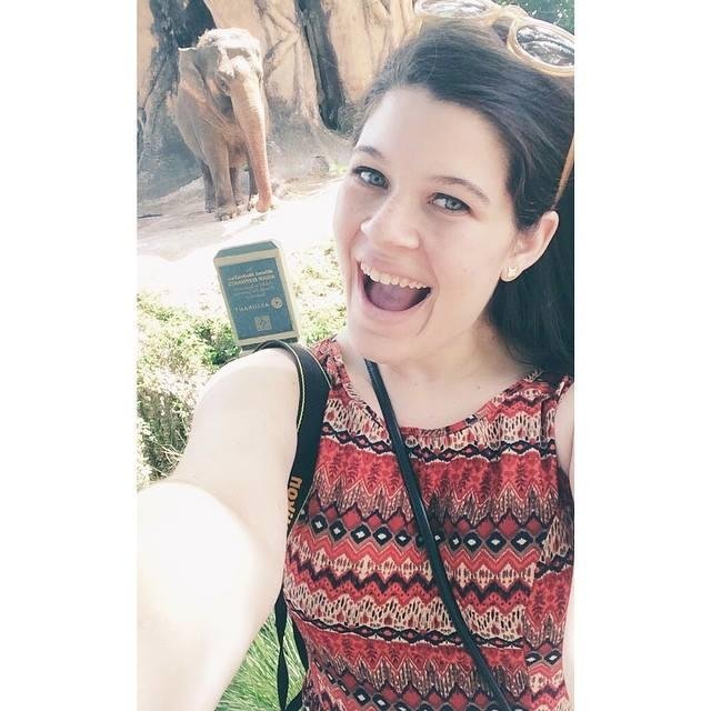 comic_sams's profile picture. My enemies are gonna be so sorry if I ever get out of this bean bag chair.