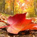 Beth Ambrose - @LostPioneer87 - Twitter