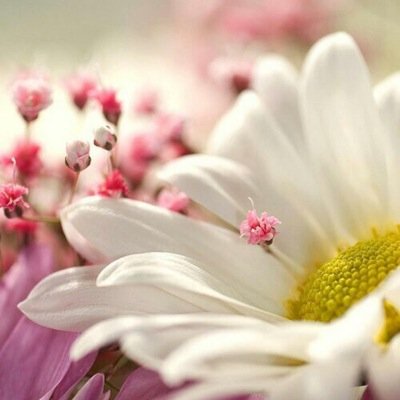 مزاجي بسيط ... لا أتصنعع أي شععور ... أحب العفويهہ بكل شيء !! و أكرههہ المجاملاات لاا أؤمن بثقافهہ الأنتقام * ... لكن أؤمن بمبدأ كماآ تدين تداان !!