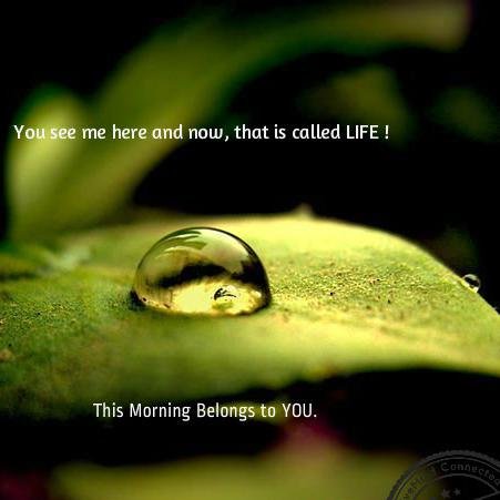 dotmahesh's profile picture. The blade of grass was astonishingly green; that one blade of grass contained the whole spectrum of colour; it was intense, dazzling and such a small thing...