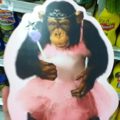 TrappingDrugz's profile picture. ★★★★★▄▄▄▄▄▄▄▄▄▄ ★★★★★▄▄▄▄▄▄▄▄▄▄ ★★★★★▄▄▄▄▄▄▄▄▄▄ ▄▄▄▄▄▄▄▄▄▄▄▄▄▄▄ ▄▄▄▄▄▄▄▄▄▄▄▄▄▄▄ ▄▄▄▄▄▄▄▄▄▄▄▄▄▄▄