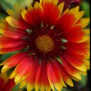 joan stanton - @joansta39575570 - Twitter