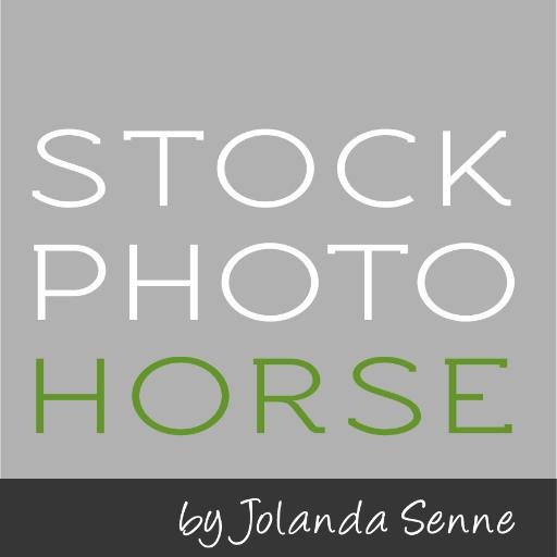 Stockphotohorse's profile picture. Equine stockphotos by Jolanda Senne Photography