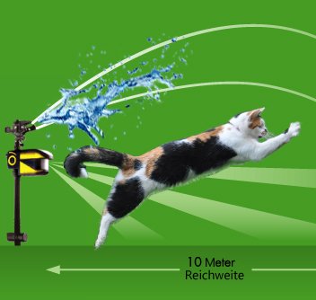 Die besten Tipps um Marder, Katzen zu verjagen & aus dem Garten, vom Grundstück fernzuhalten! Ultraschall Abwehrgeräte, Wassersprinkler mit Bewegungsmelder...